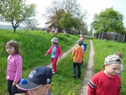 Pleteme věnečky z pampelišek